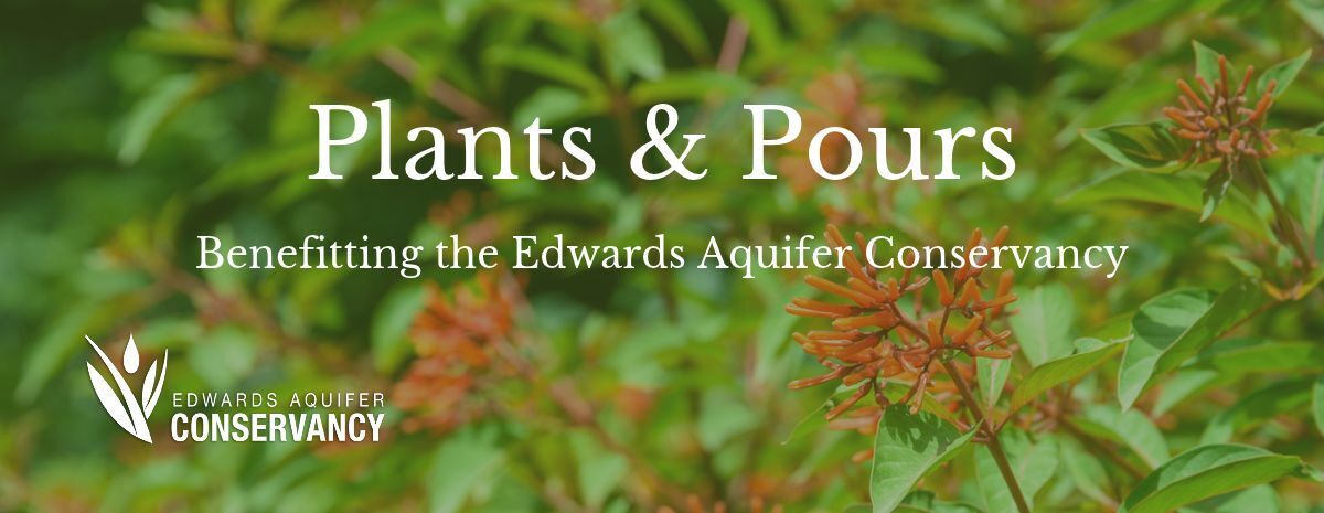Plants & Pours
